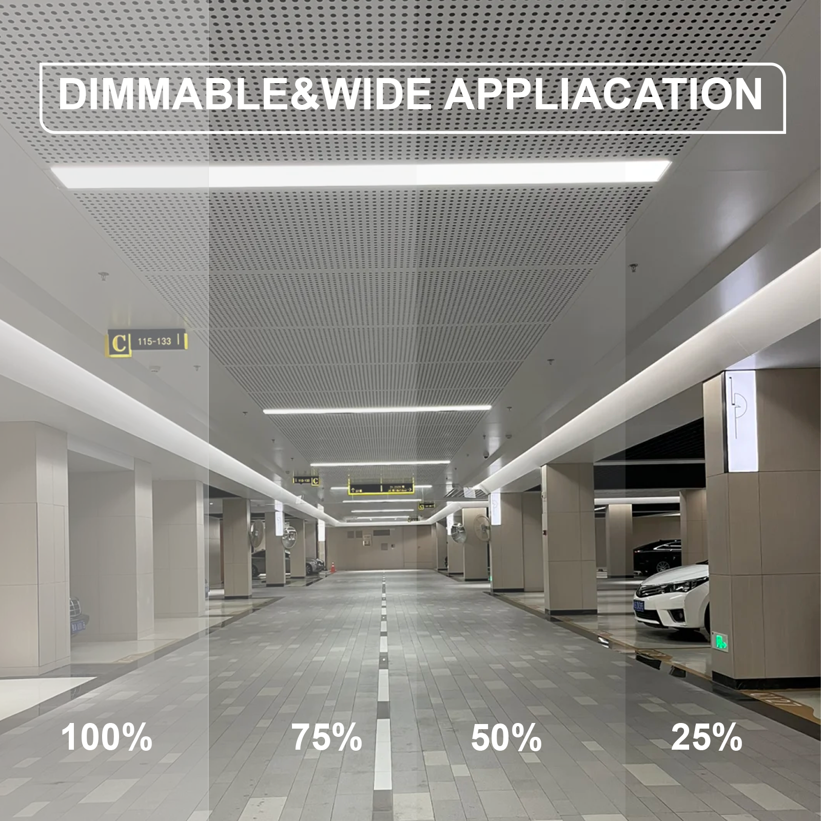 Vapor Tight Light (5.8G Sensor)